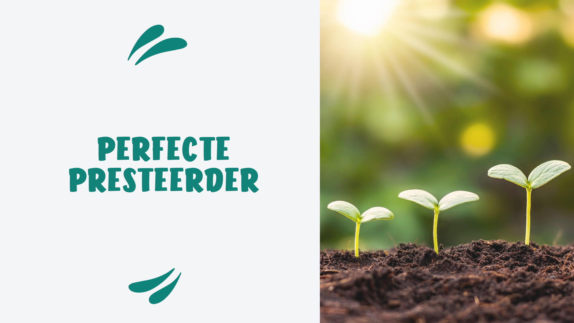 Waarom een 6 beter is dan een 10: Tips voor ouders van perfecte presteerders